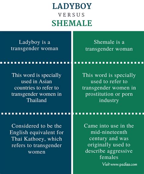 Difference Between Tranny and Shemale